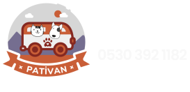 Pativan Pet Taksi – Pet Transfer, Nakil, Pet Kargo Hizmeti